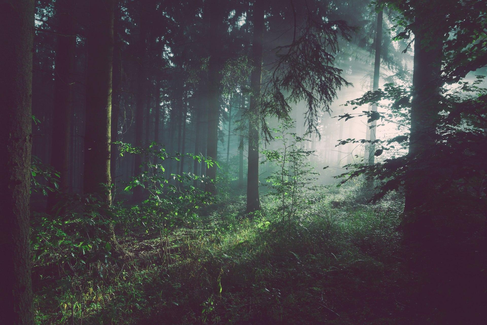 National Forests