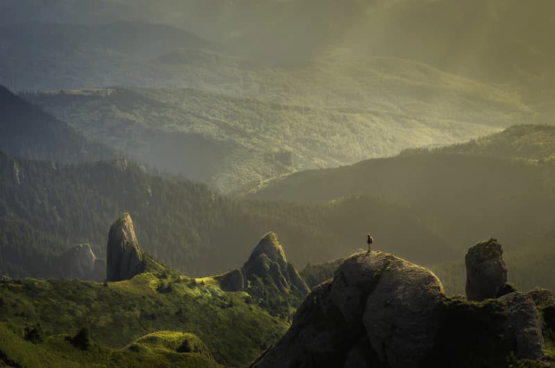 Nature landscape