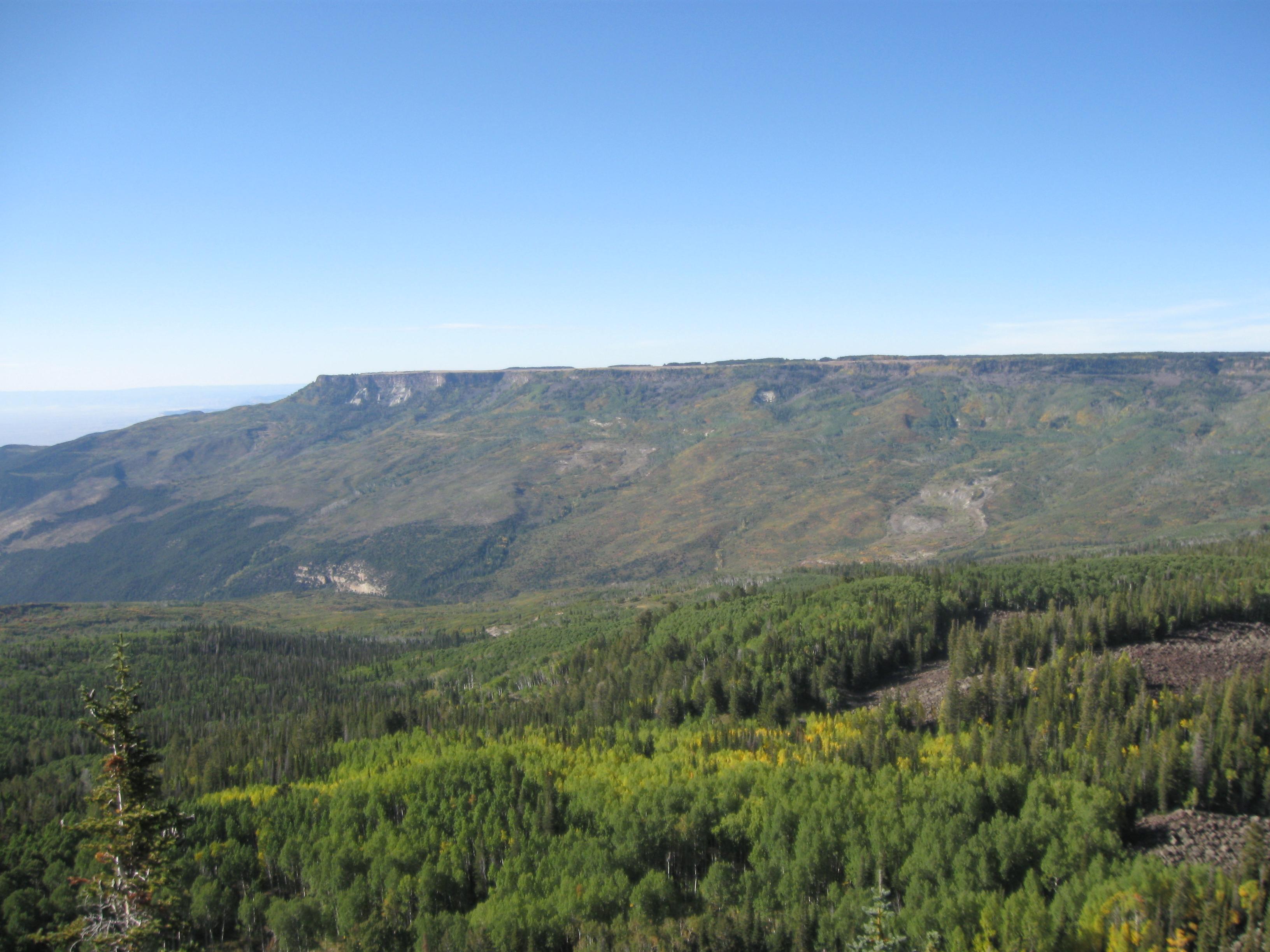 Grand Mesa National Forest