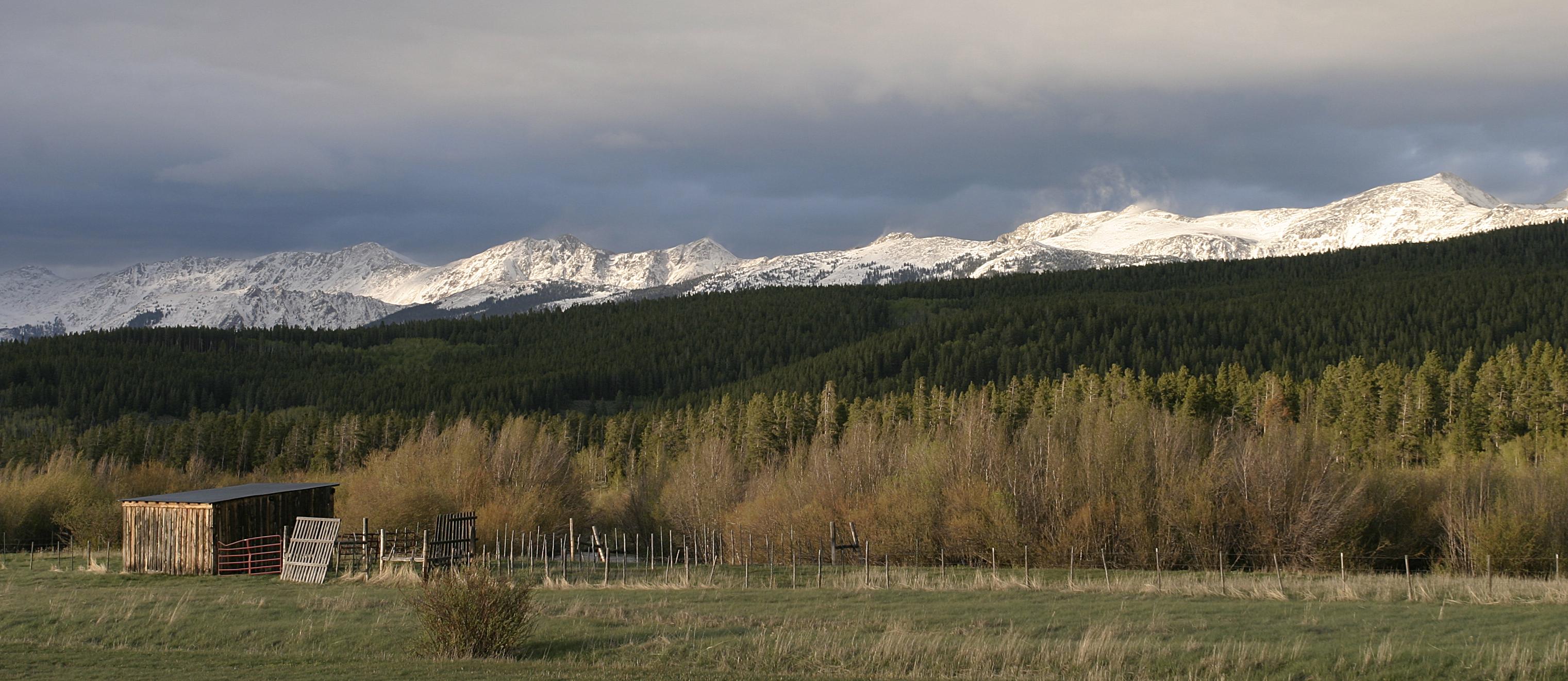 Roosevelt National Forest