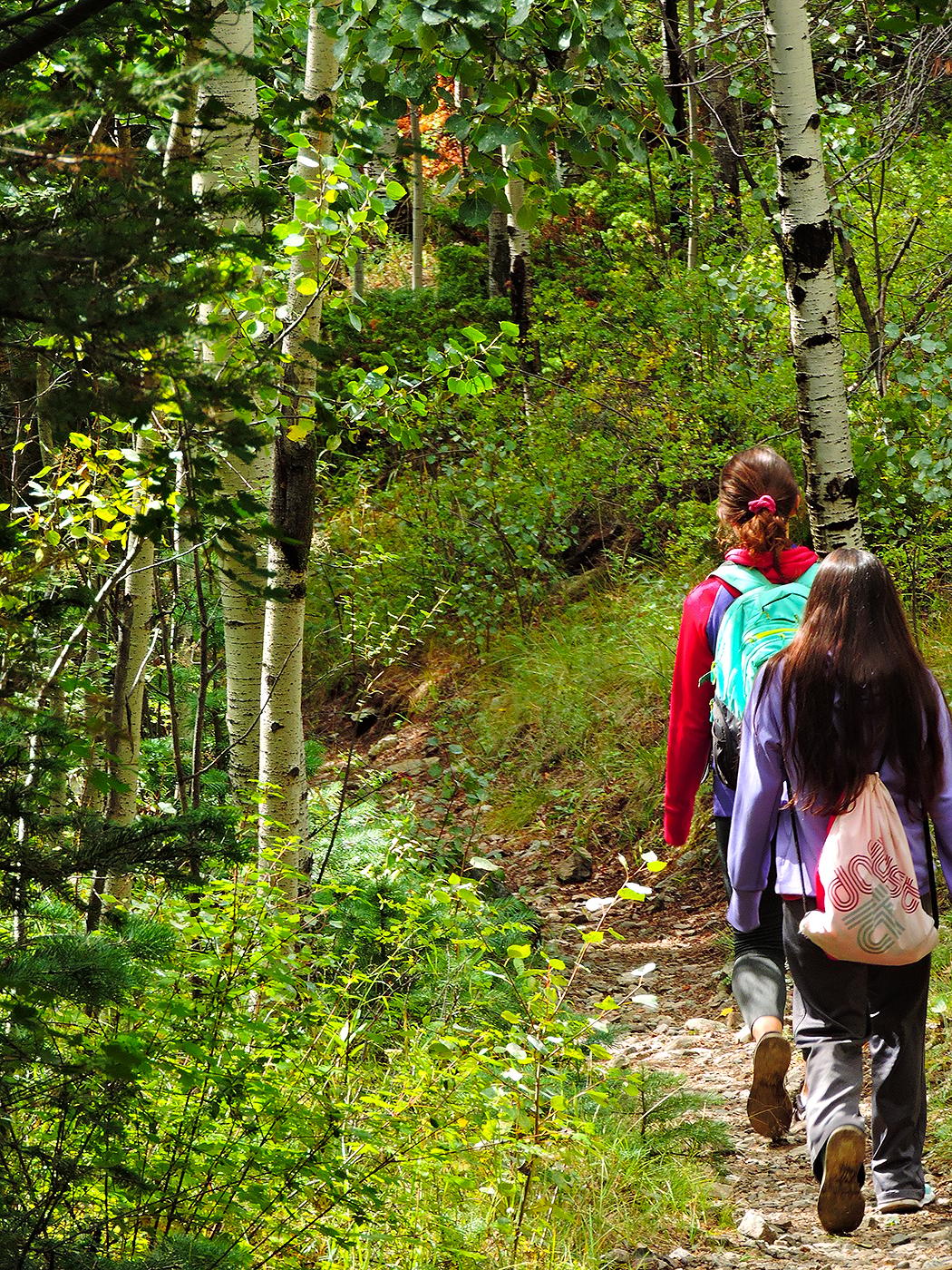 Hike Montville Nature Trail or Mosca Pass Trail
