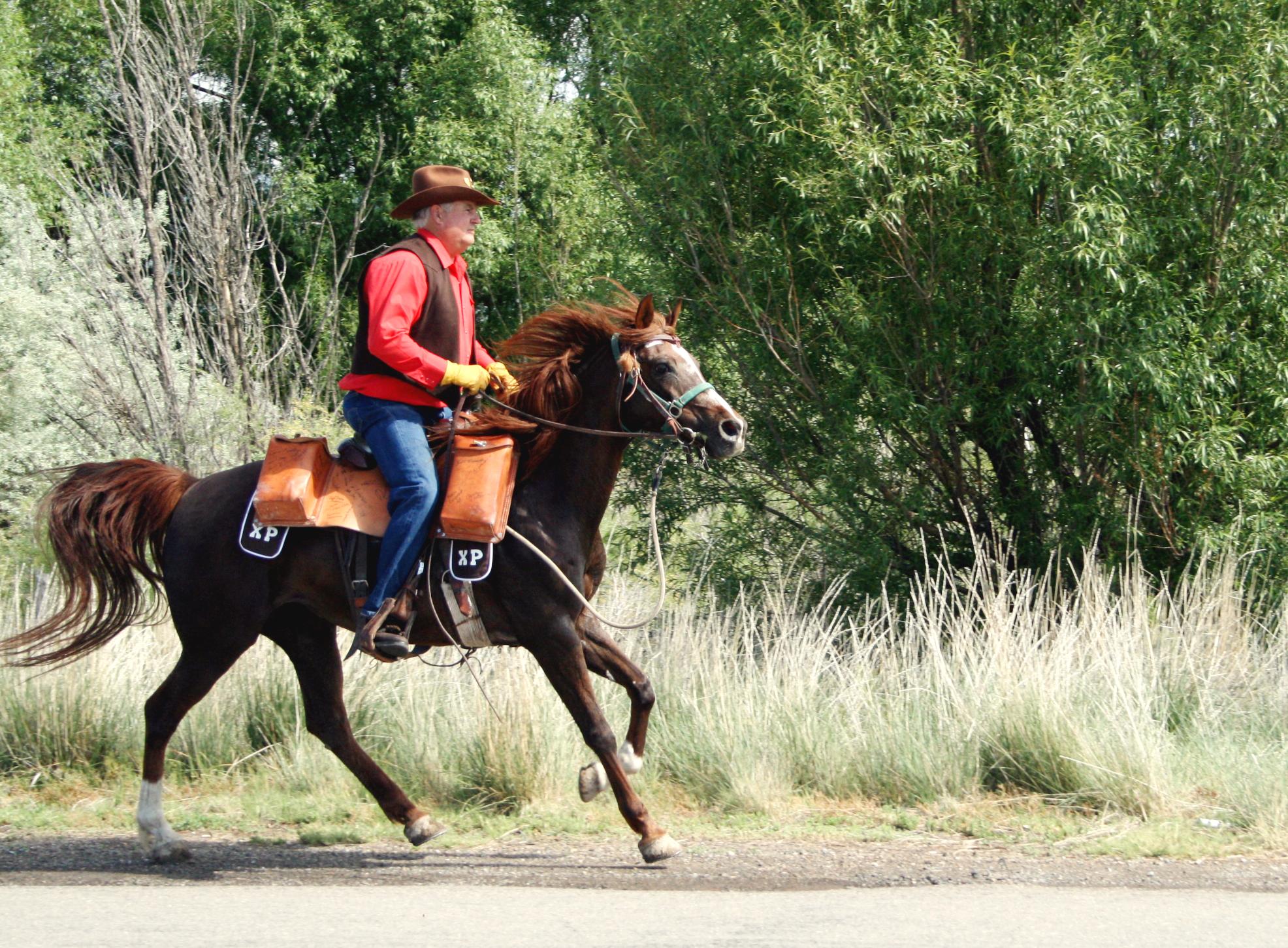 Horseback Riding on the Pony Express Trail