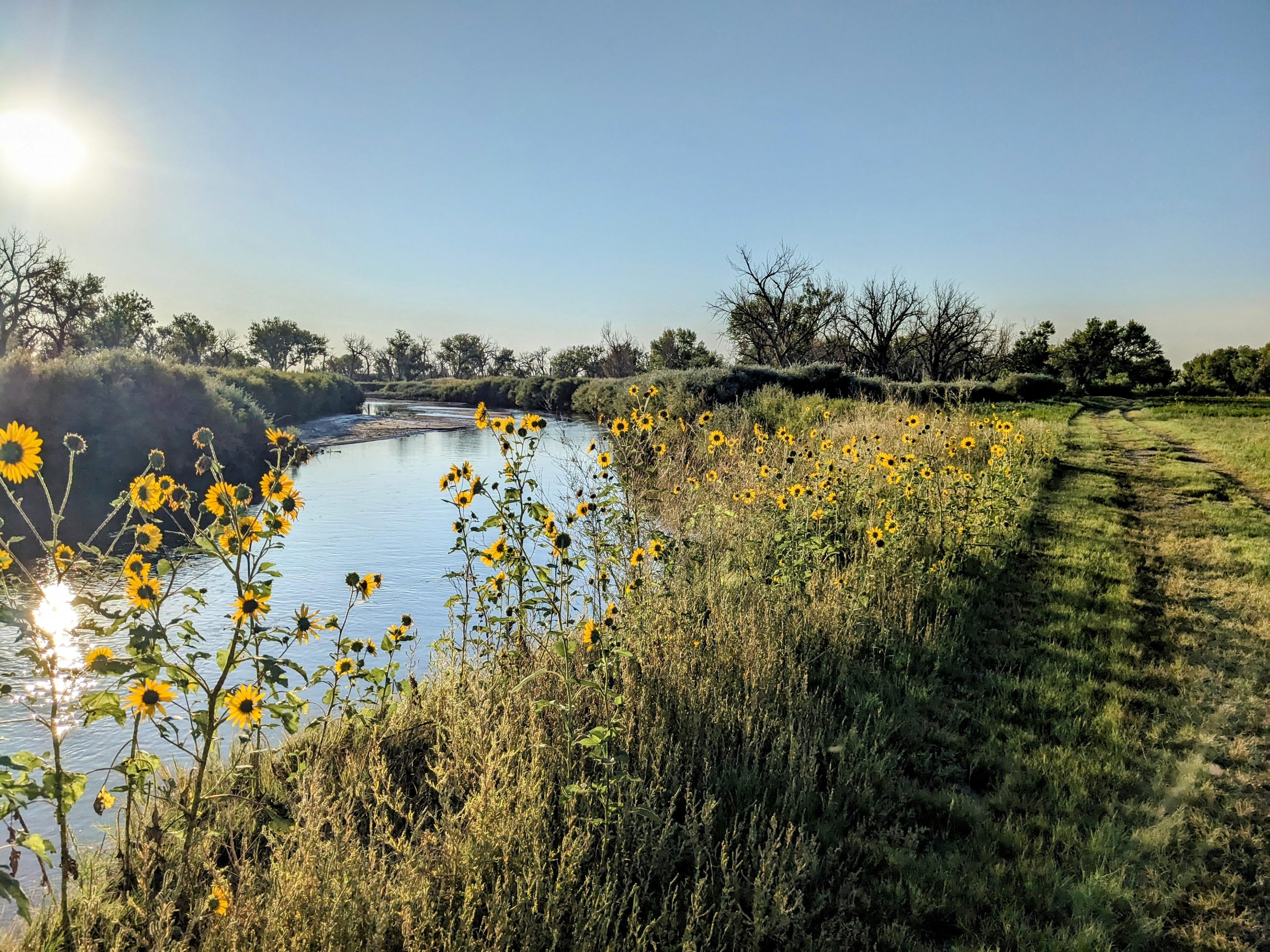 Hiking along the Arkansas River
