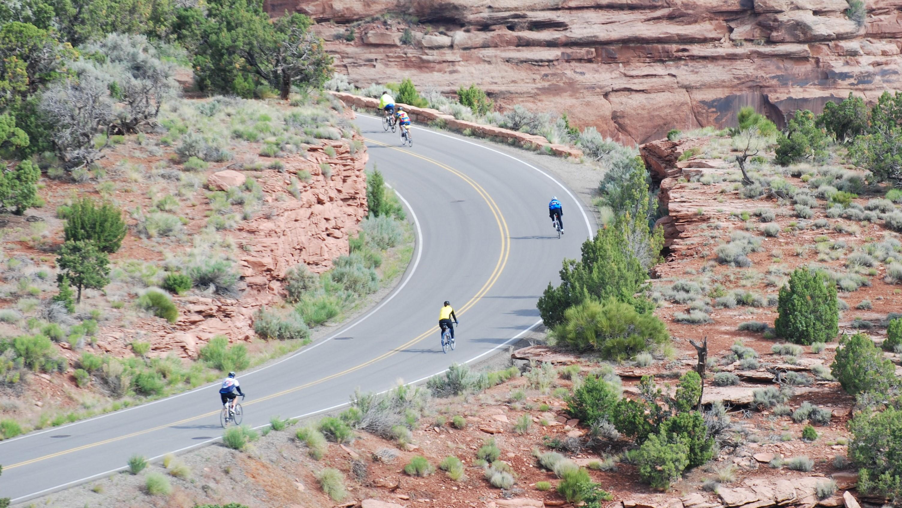 Road Biking on Rim Rock Drive