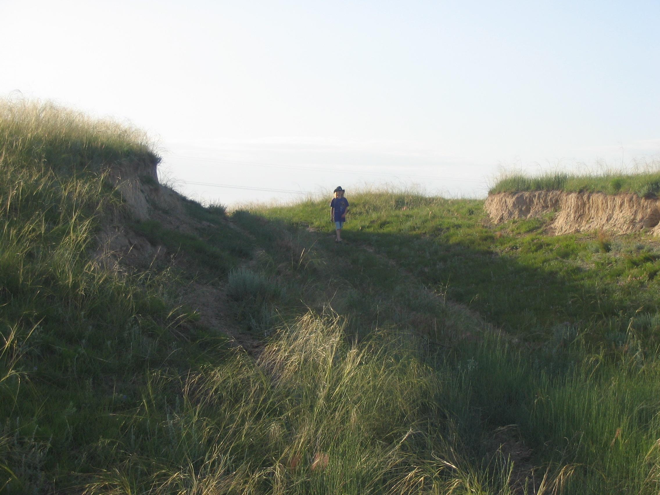 Go See Oregon Trail Ruts