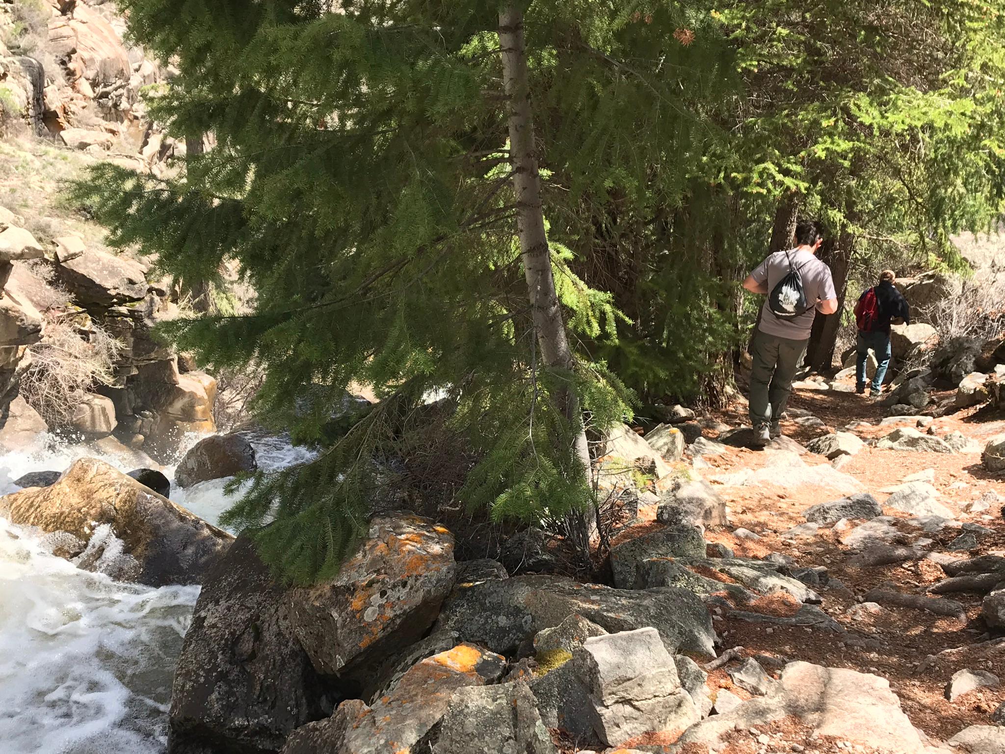Hike Curecanti Creek Trail