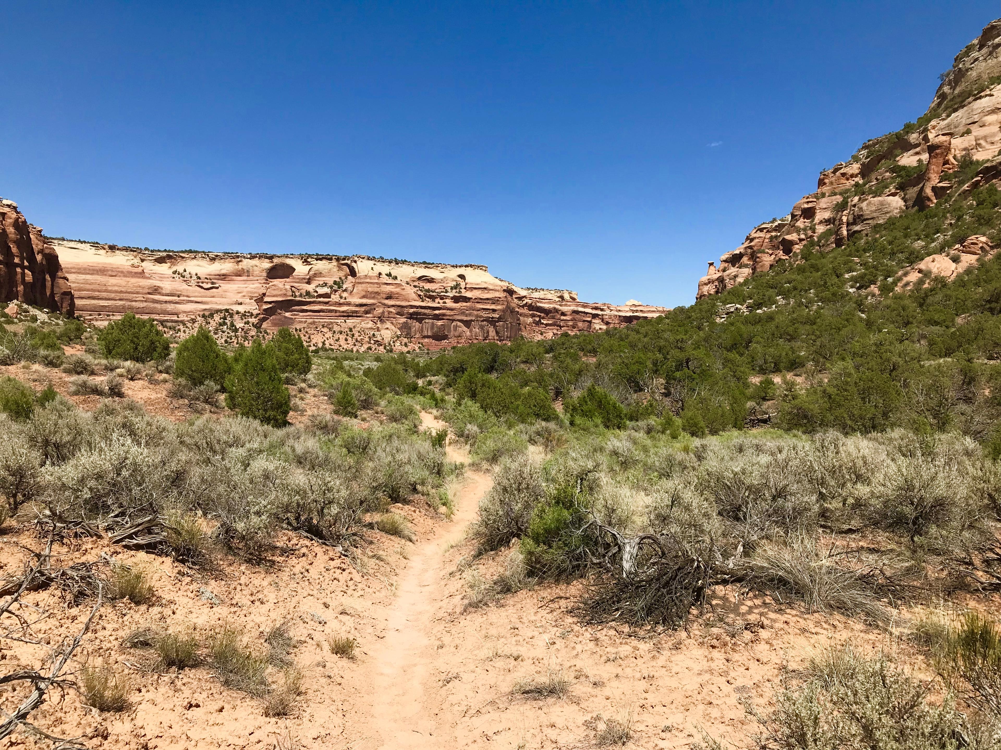 Hiking in Colorado National Monument