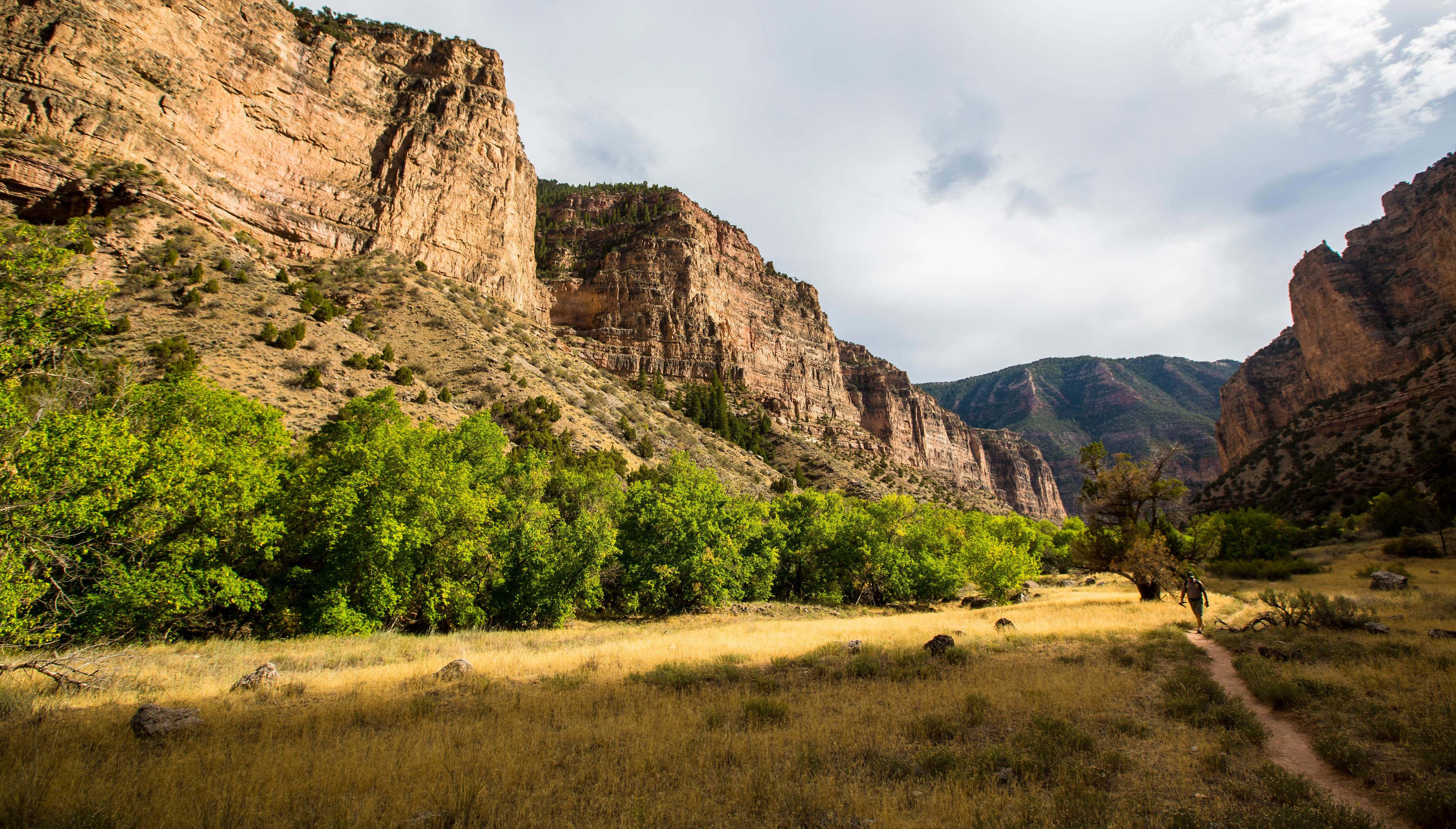 Hike the Jones Hole Trail