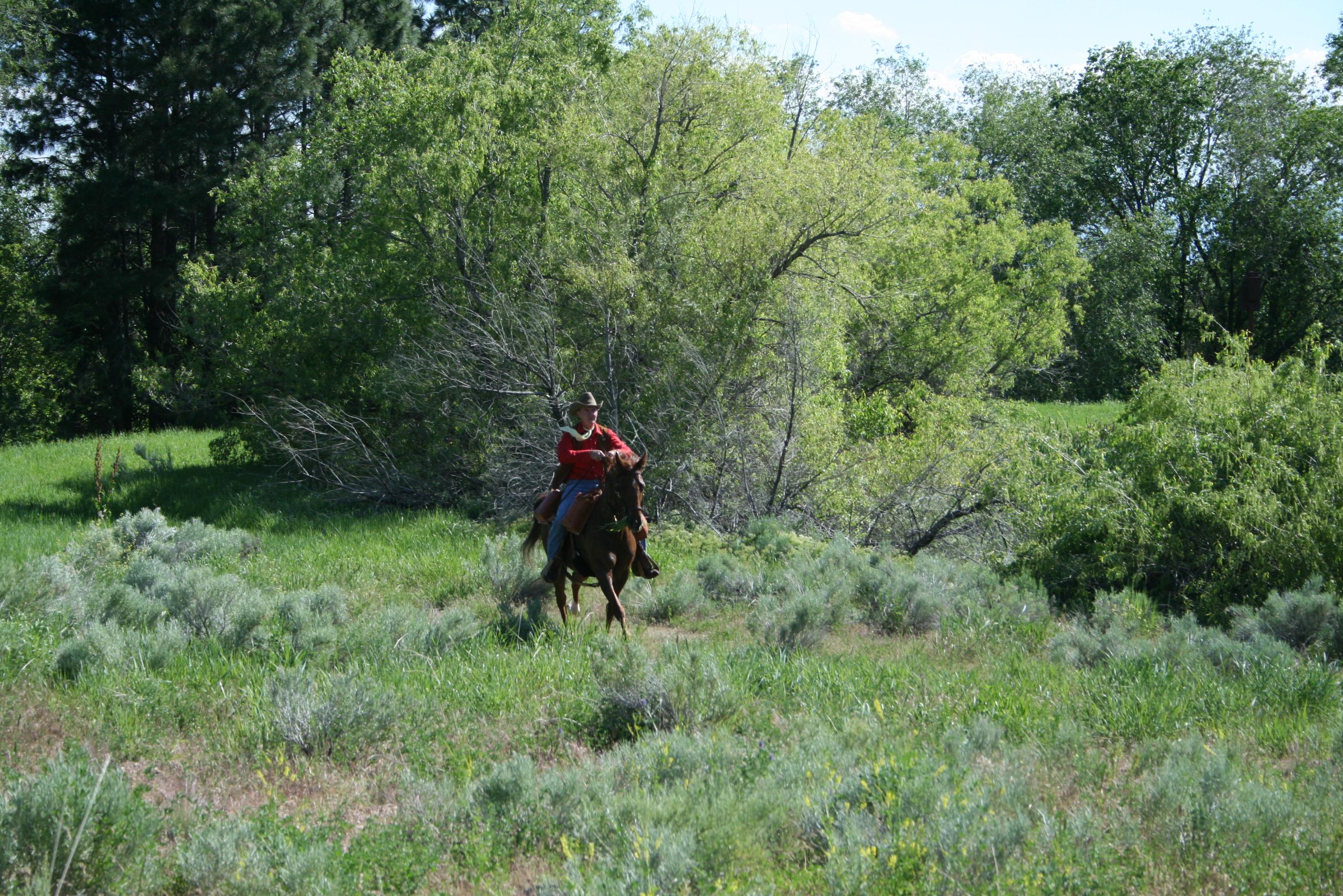 Horseback Riding on the California Trail