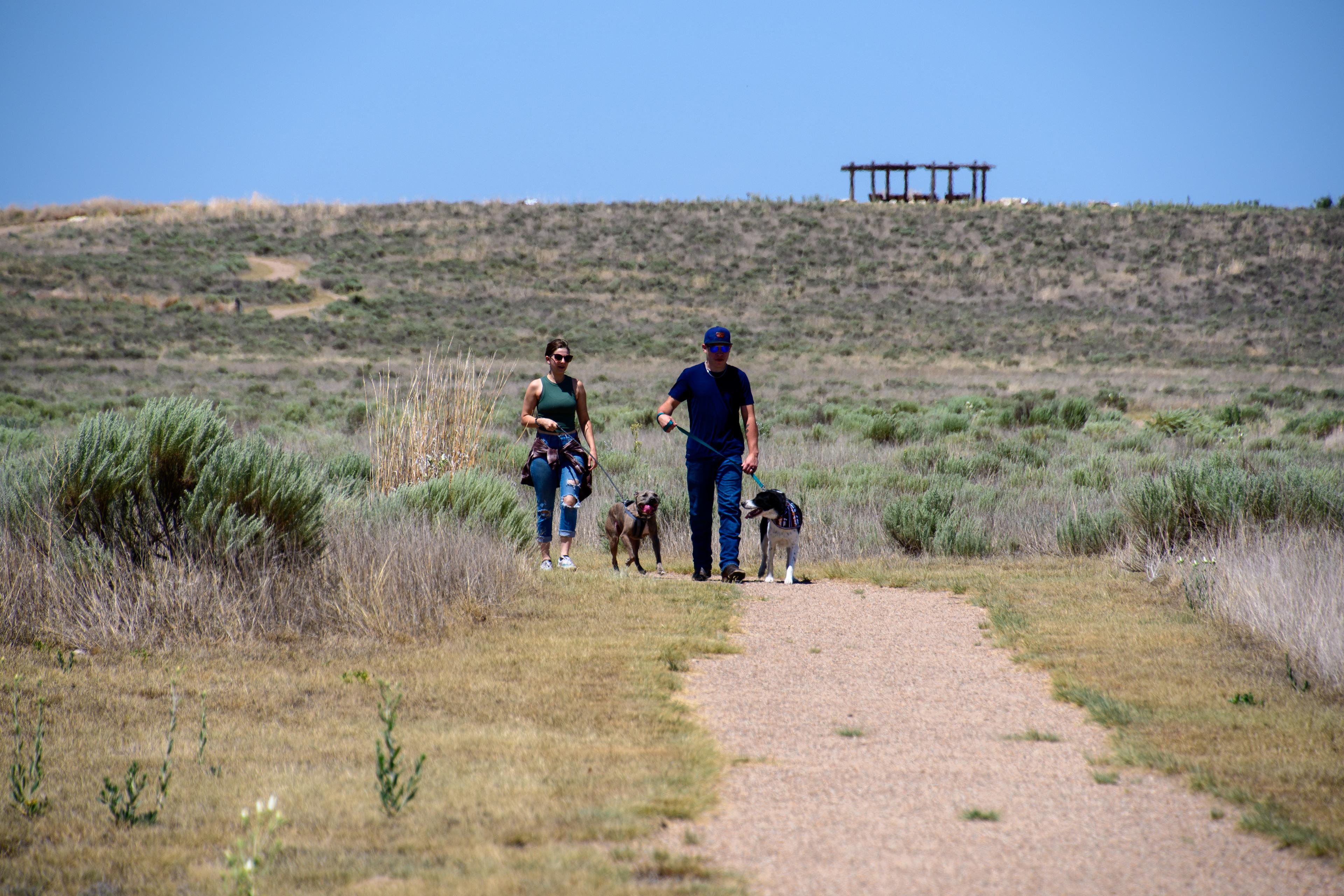 Be a Sand Creek B.A.R.K. Ranger