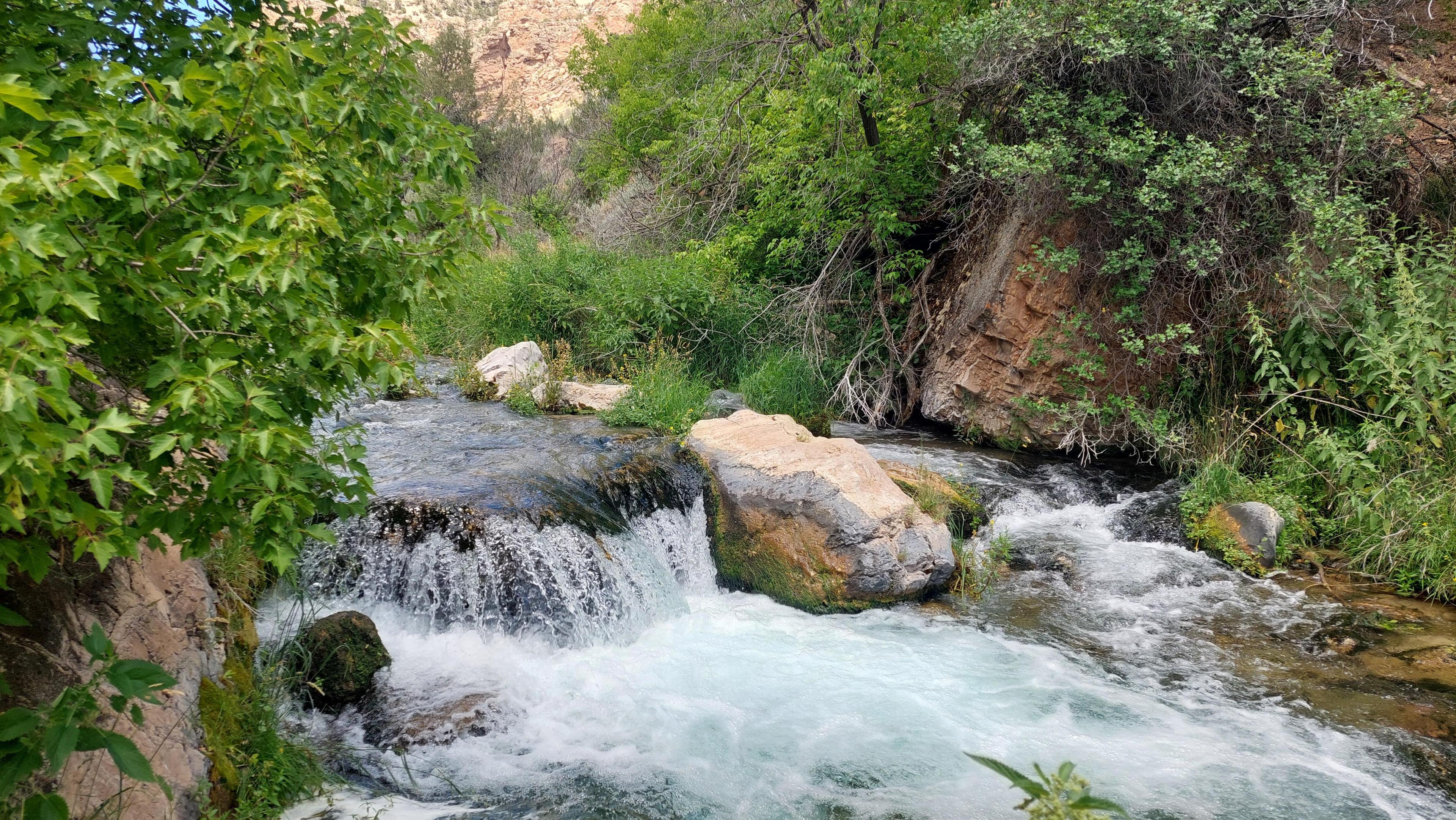 A small waterfall in a fast flowing creek, moving through a green forest.
